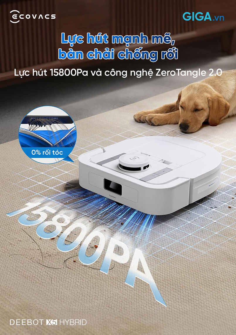 Với công nghệ chống rối ZeroTangle 2.0 tiên tiến, X5 Hybrid loại bỏ tình trạng lông/tóc xoắn rối trên chổi.